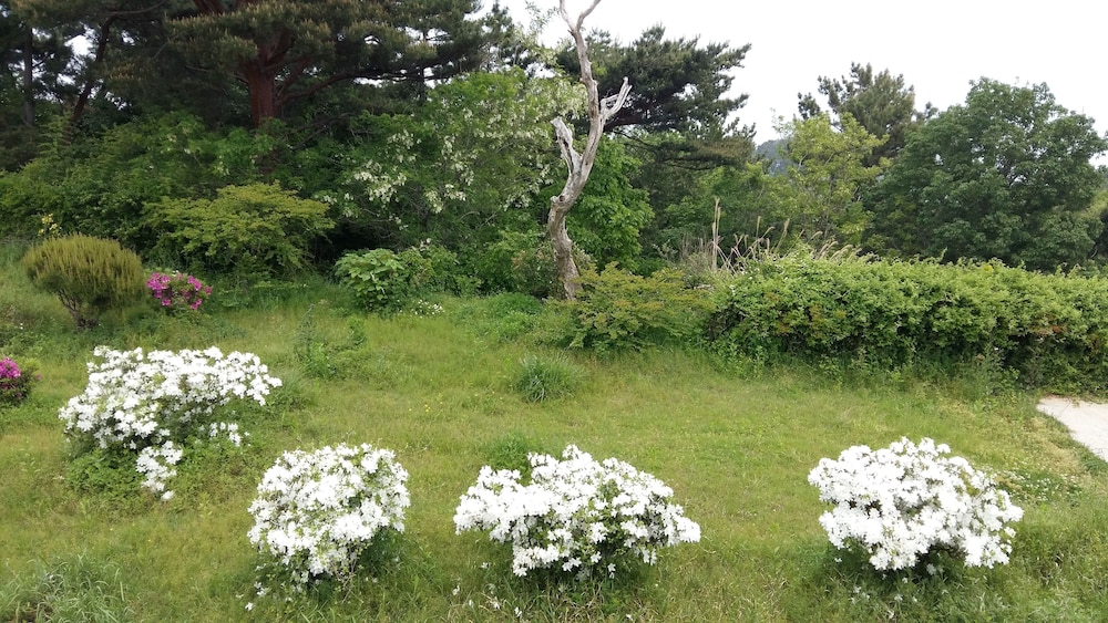 Dalbit Maru Pension