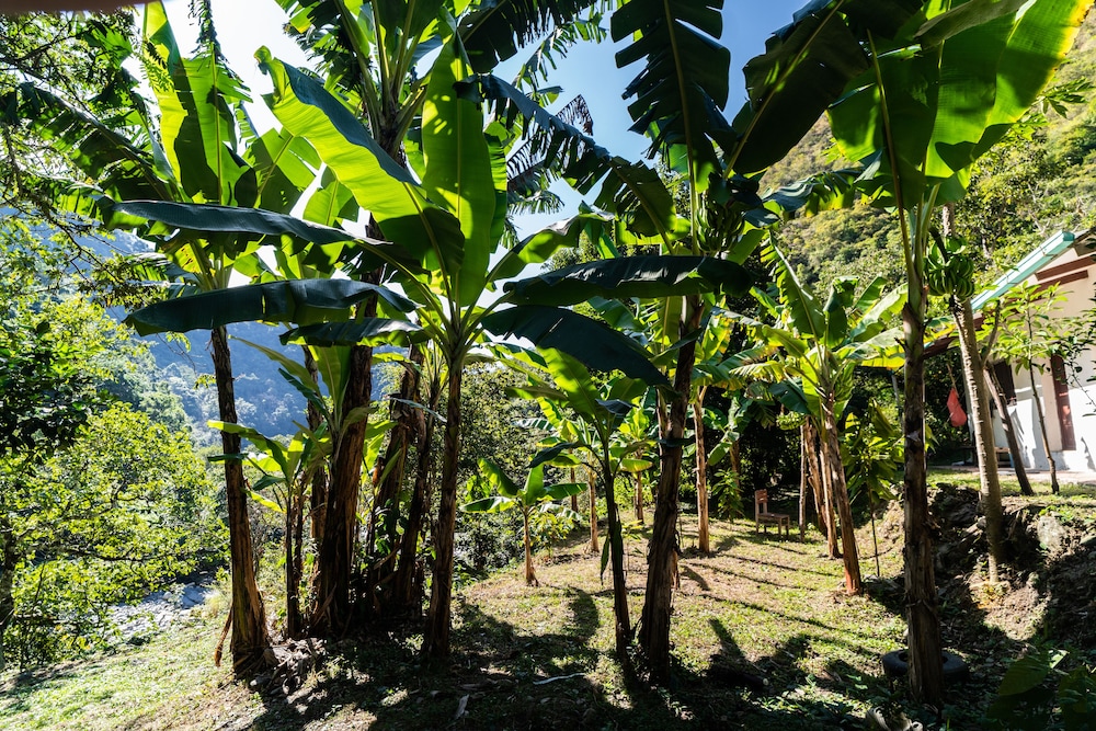 Casa de campo Los Yungas