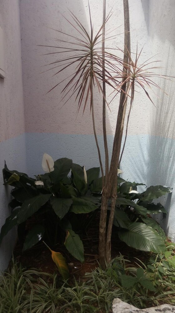Photo 33