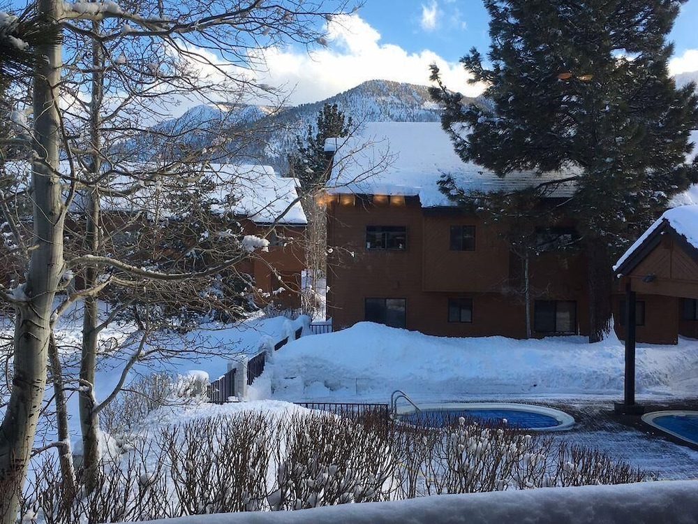 Snowflower 62