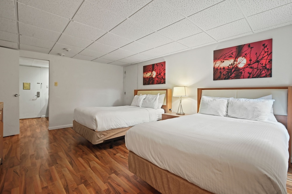 Mountain Laurel Resort