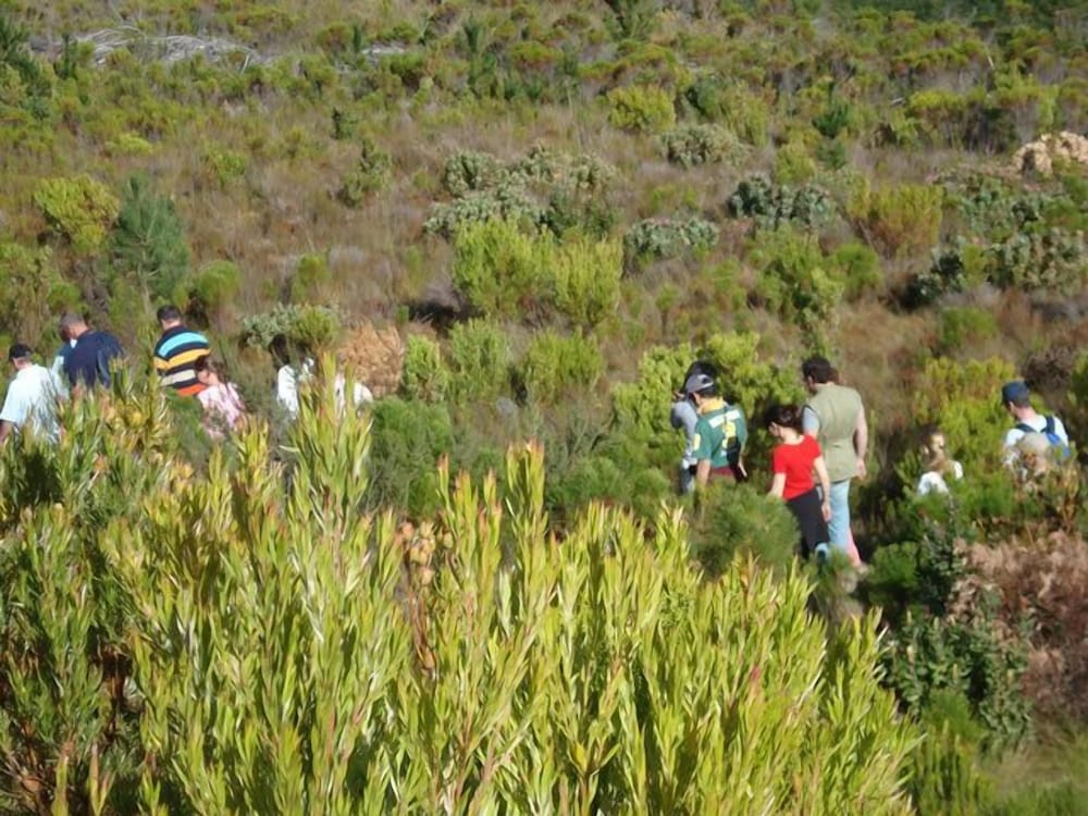 Tri Active Lodge