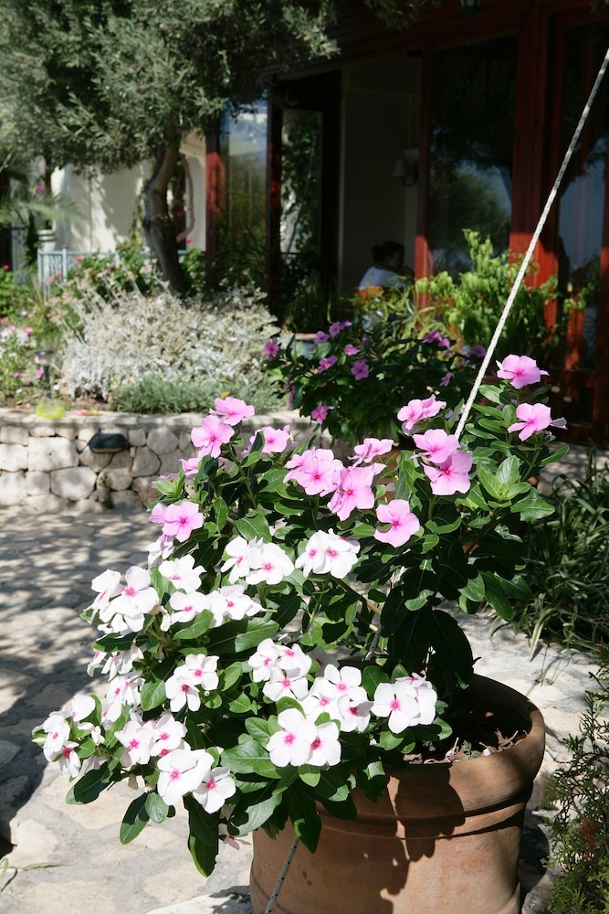 Diva Residence Otel - Image 64