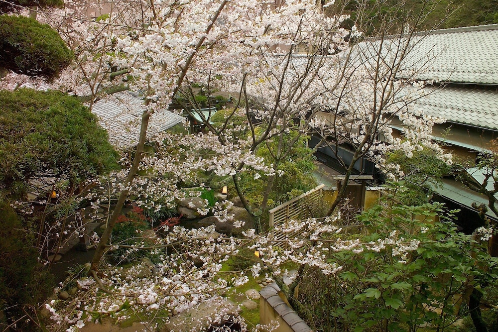 Photo 45