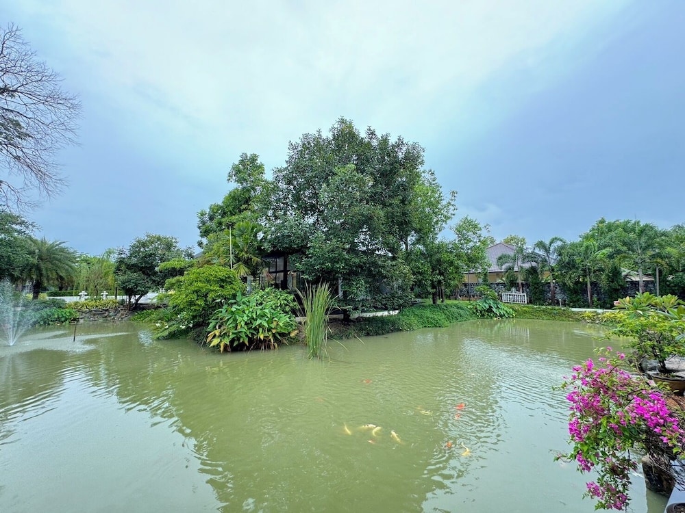 Photo 48