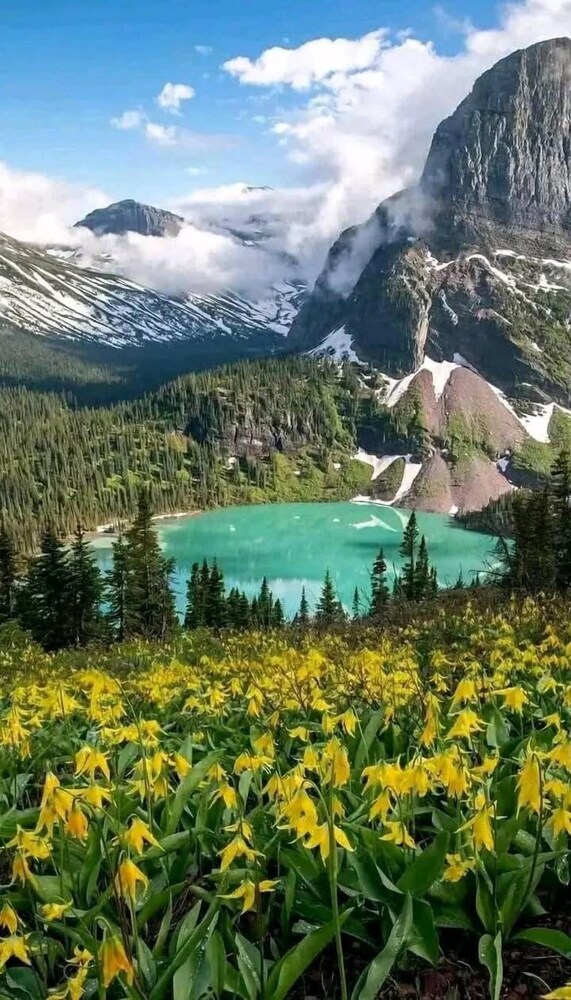 Paradise Park