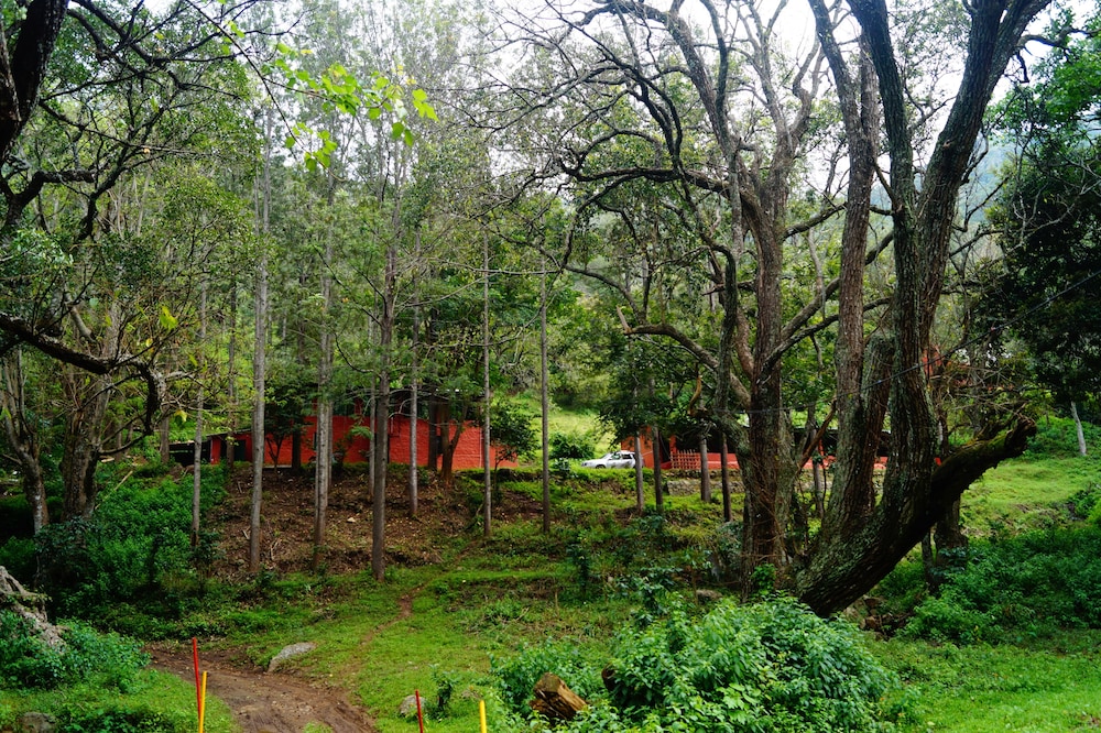 Secret Valley Jungle Resort