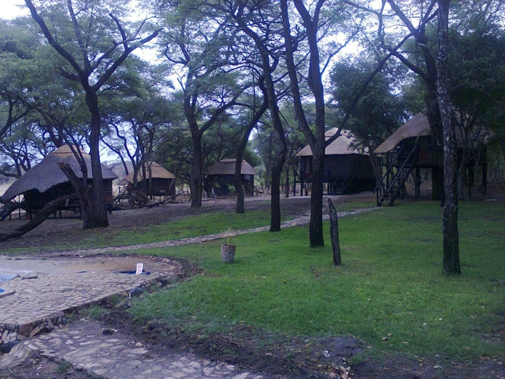 The Tree Lodge at Sikumi