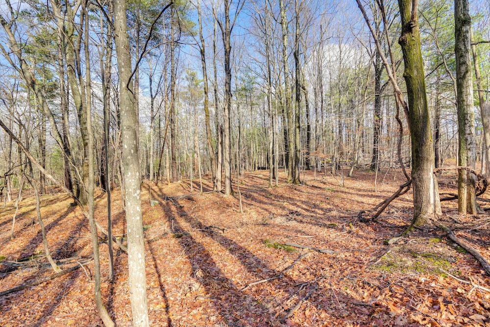 Mtn Views + On-site Hiking Trails: Catskills Cabin