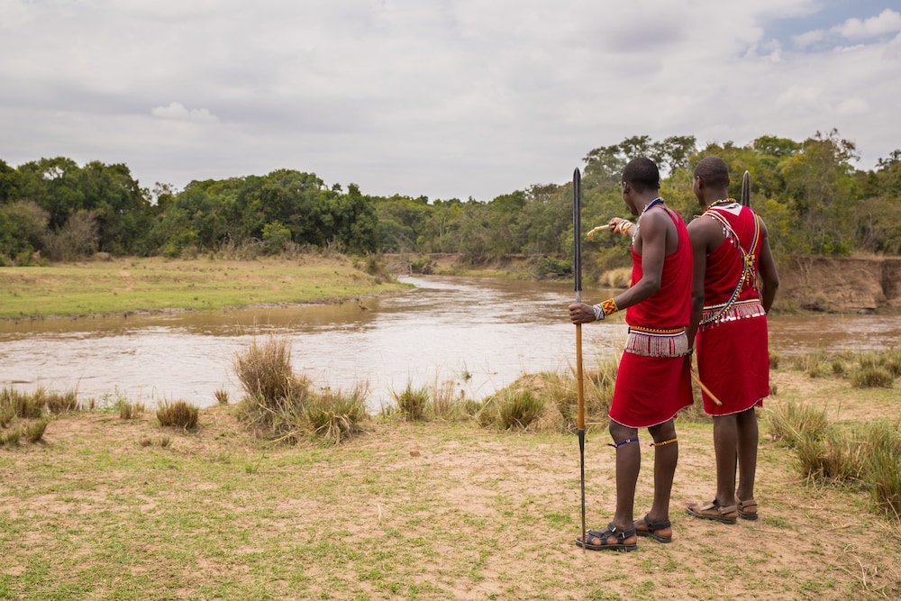 Hammerkop Migration Camp
