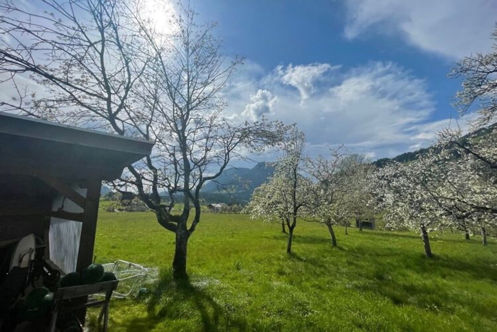 Farmhouse in Soll Near Wilder Kaiser Ski Area