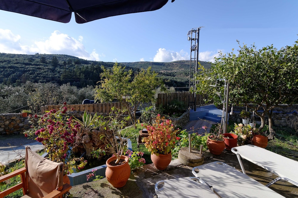 Villa Olive Tree