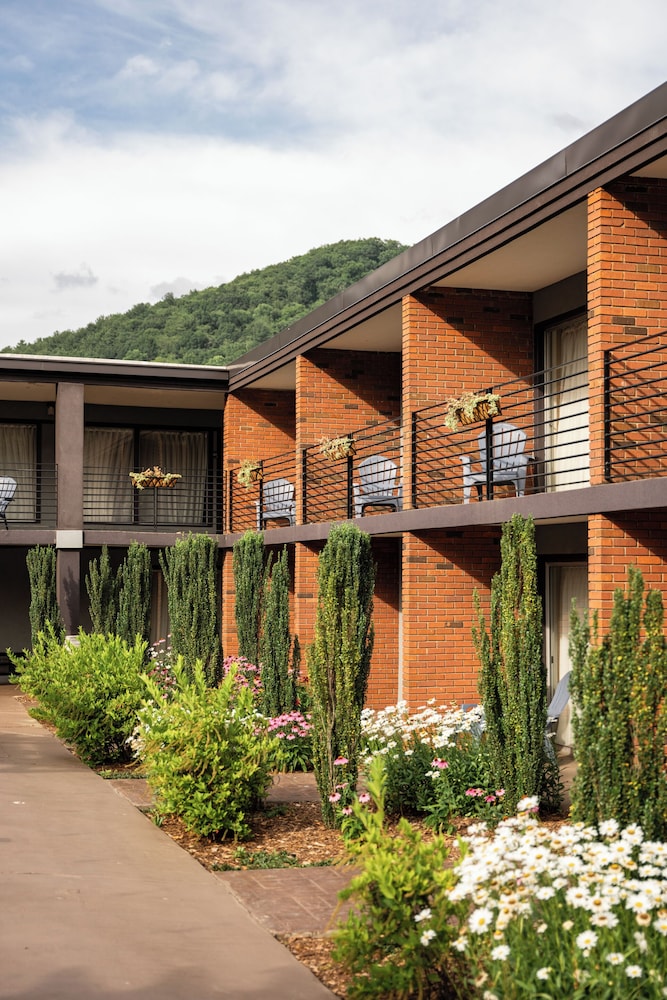 The Beaucatcher – A Boutique Motel, photo 28