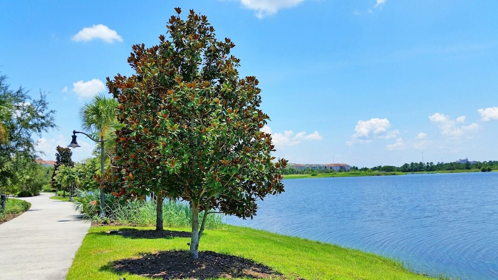 Lakeview Shore