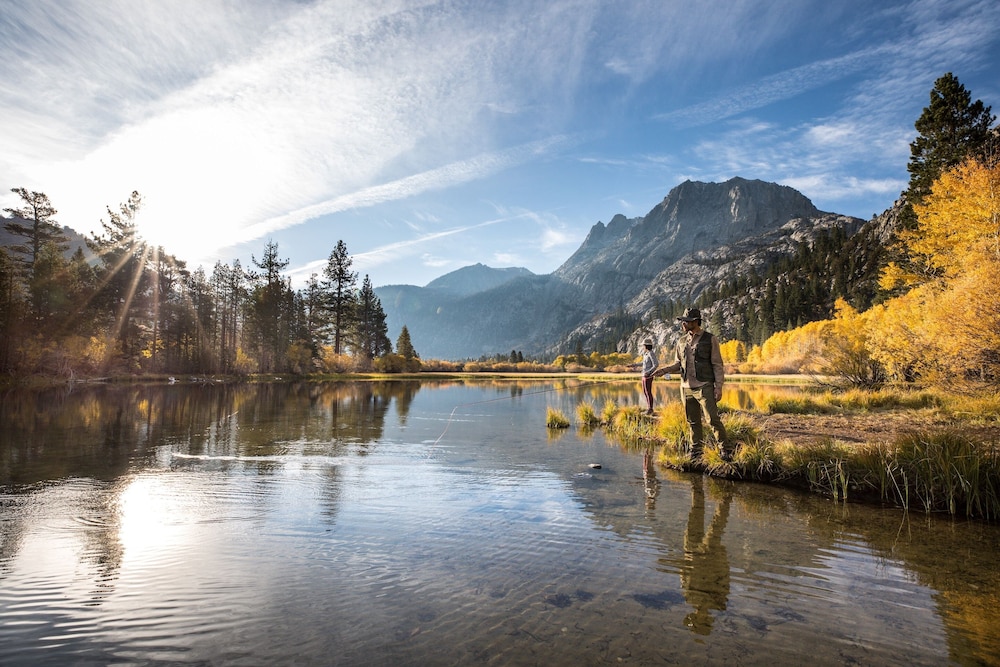 Photo 35
