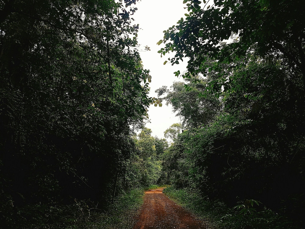 Photo 8
