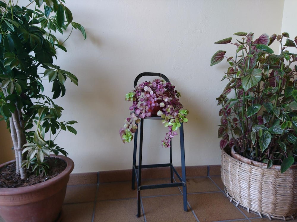 Posada El Jardín