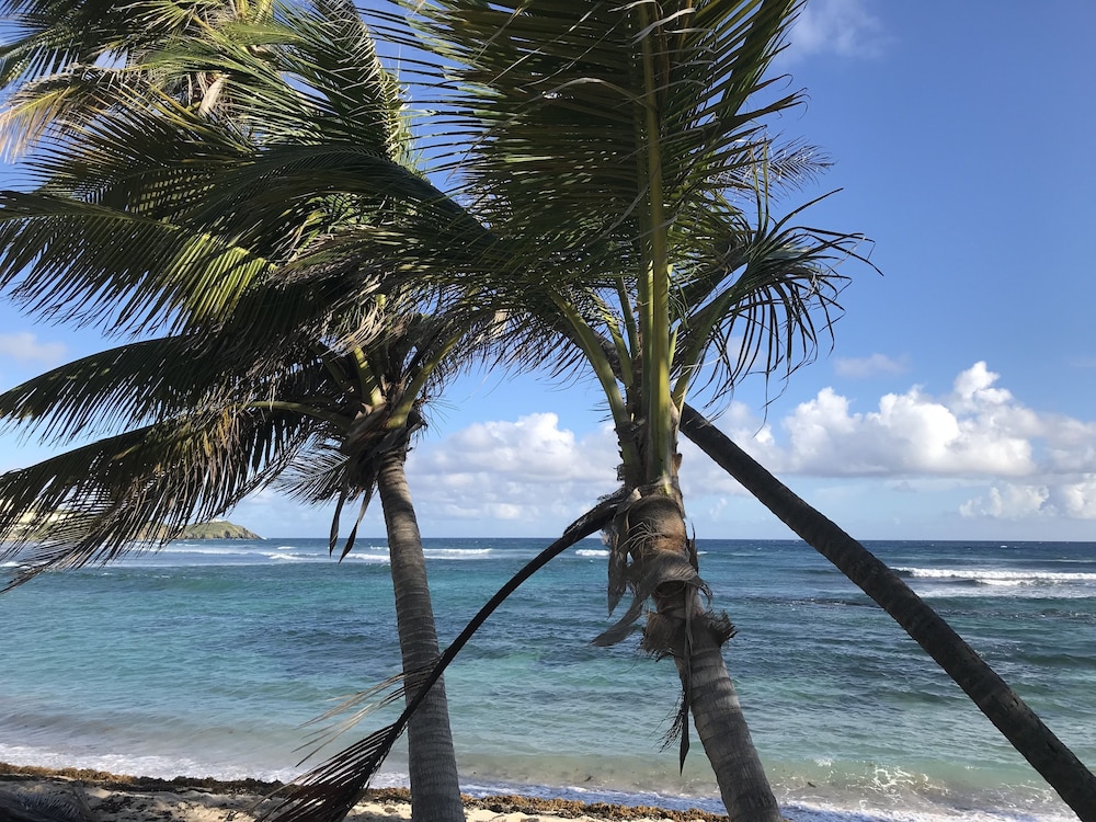 The Palms at Pelican Cove - Property Image 5