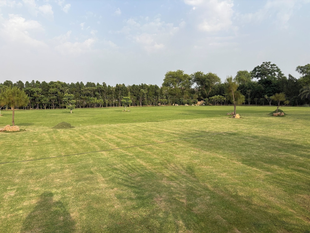 The Greenwood Farm And Lawn -Bijwasan