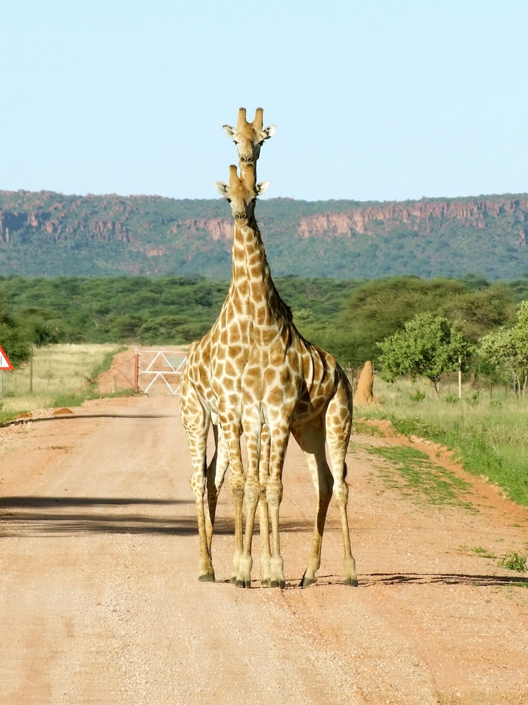 Waterberg Wilderness