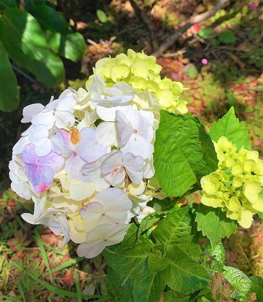 other