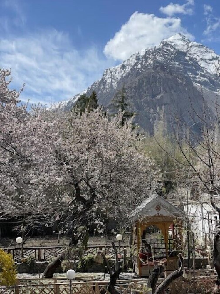 Lavender Cottage & Guest House