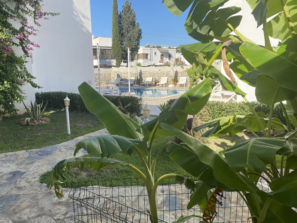 Canna Garden Otel - Yetişkinler İçin - Image 104