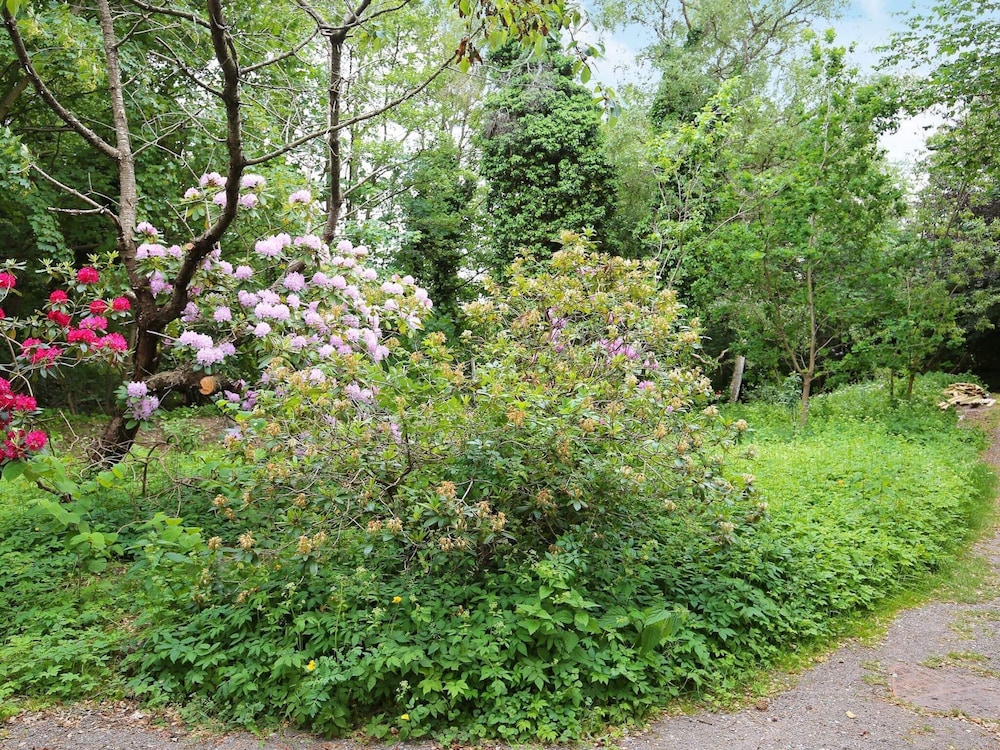 Photo 26