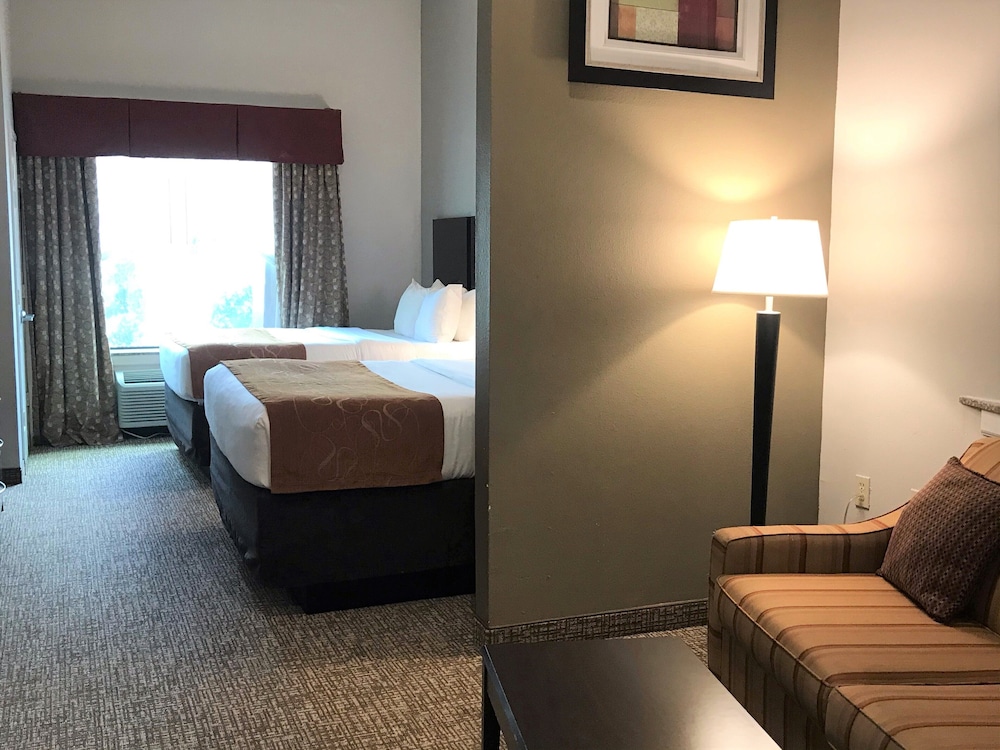 Comfort Suites Bay City East view 4