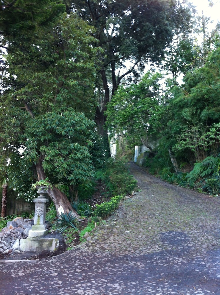 Photo 39