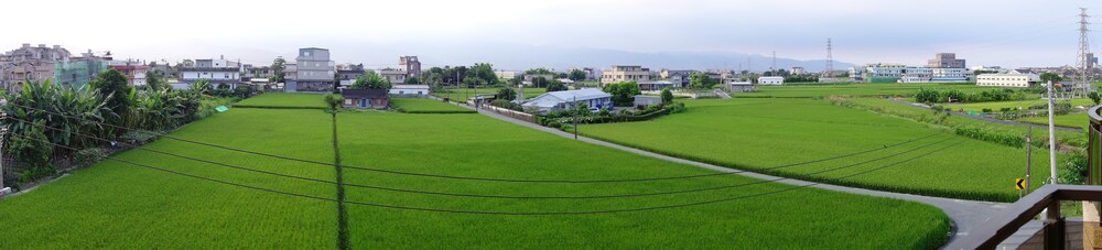 Green Field & Sunshine