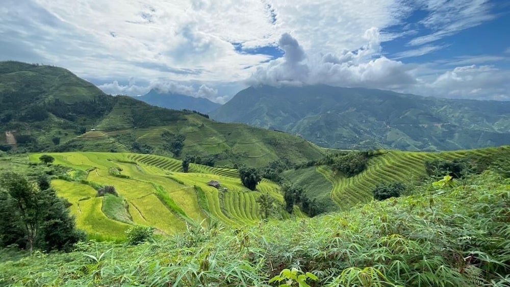 Bac Ha Charm Stay view 2