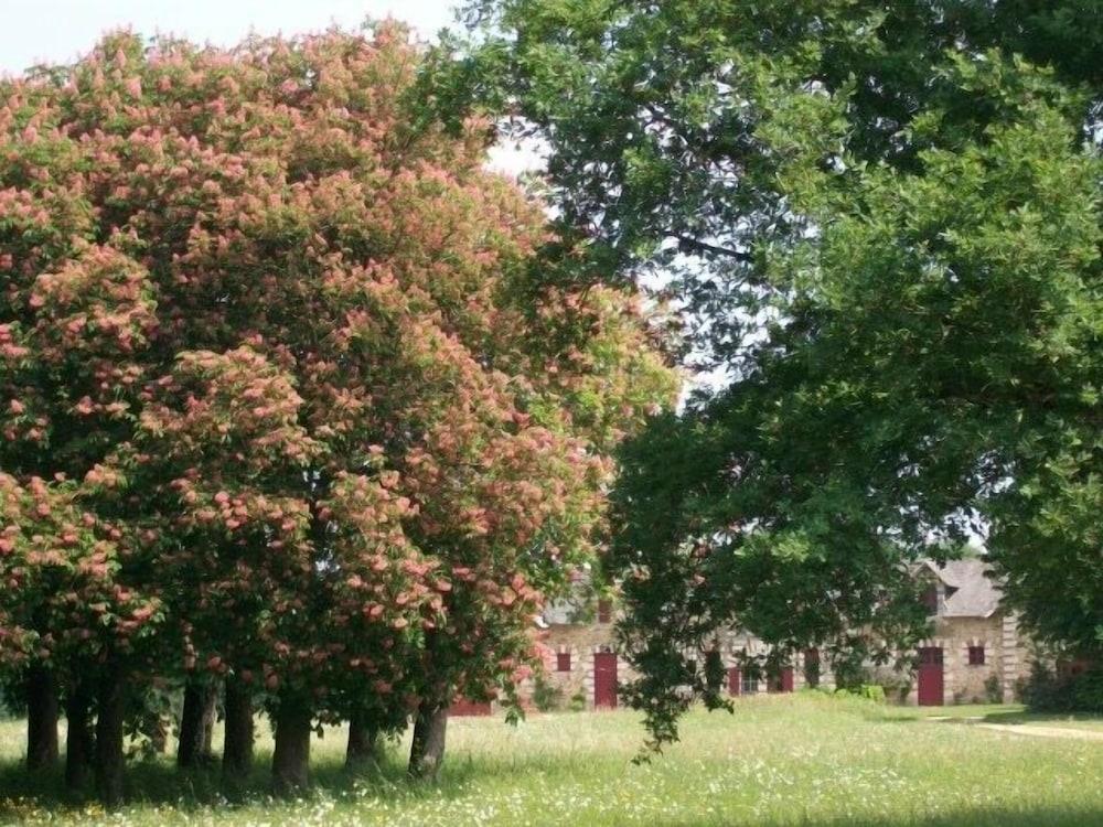Château des Lutz