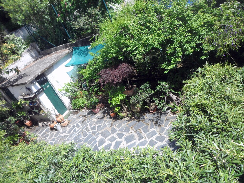 Casa Coimbra Guesthouse & Garden