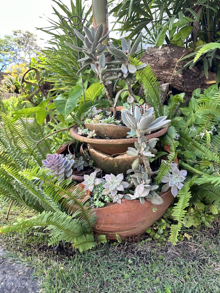 Pousada do Barão