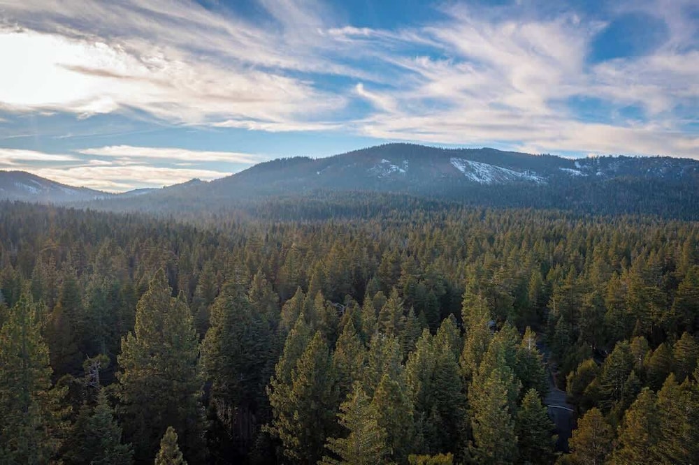 Cozy Tahoma Cabin in the Pines Sleeps 6 + Pets