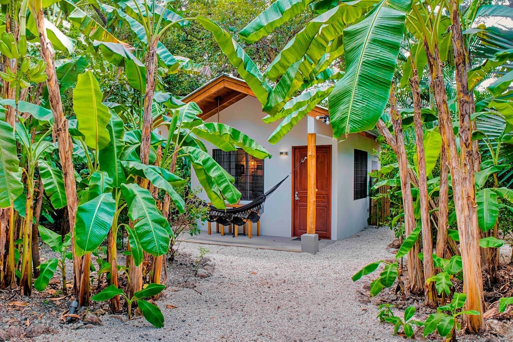 Casa Bonita - 5BR With Pool Walk to Beach