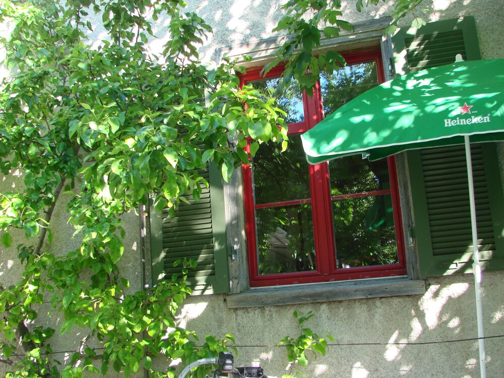 Photo 36