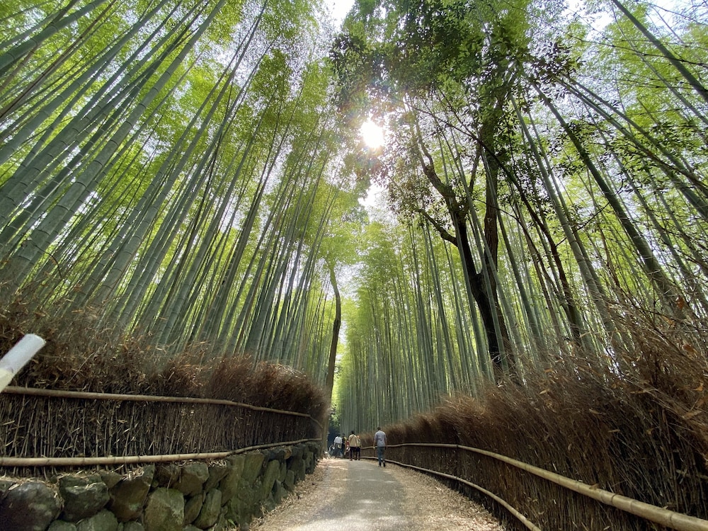 Kadensho, Arashiyama Onsen, Kyoto - Kyoritsu Resort