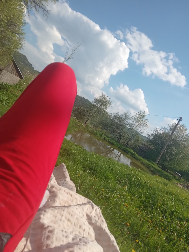 Photo 136
