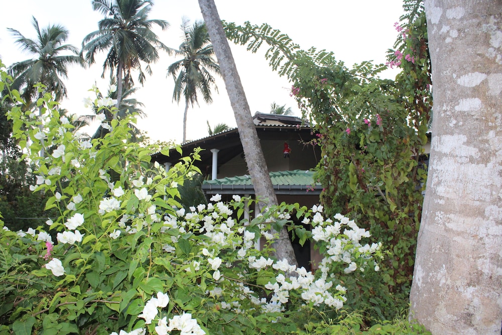 All view resort