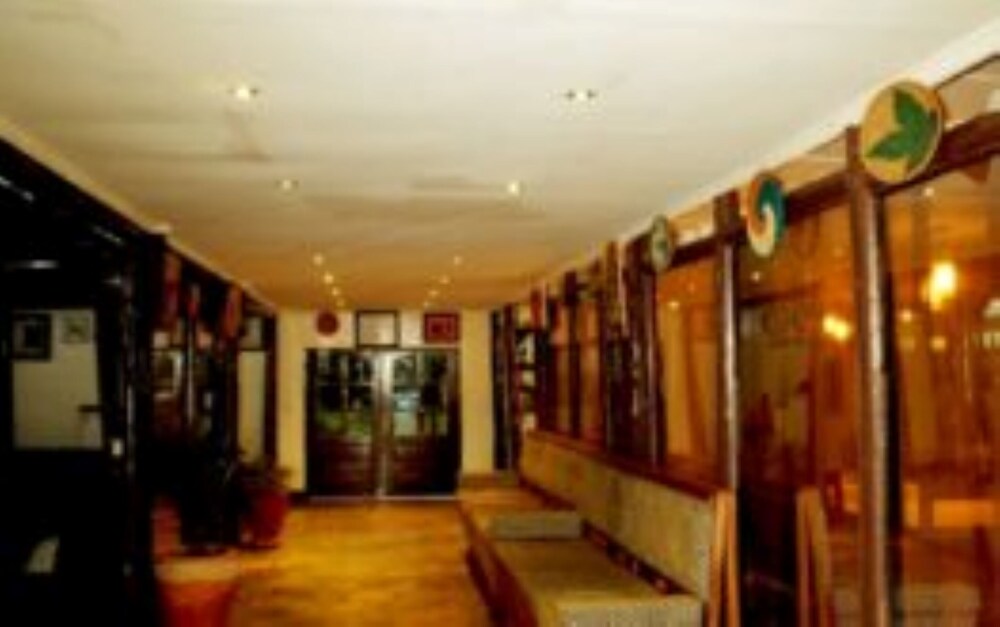 Da Vinci Gorilla Lodge
