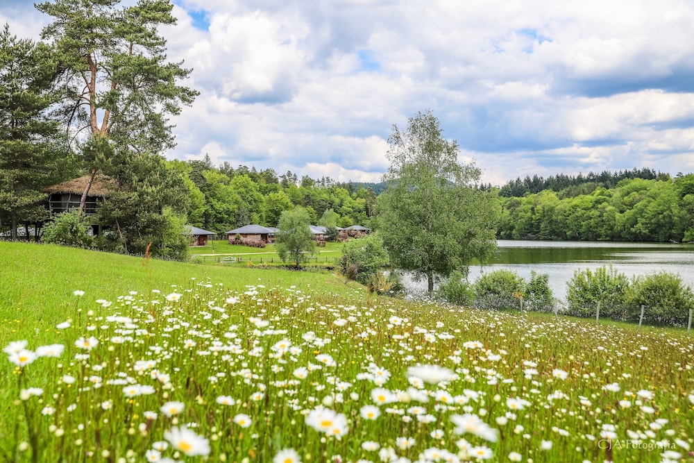 Vacancéole - Le Domaine des Monédières , Billede 51