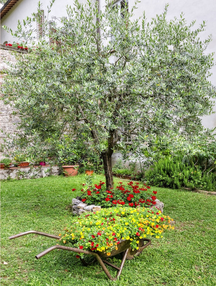 Casa Diocesana di Lucca