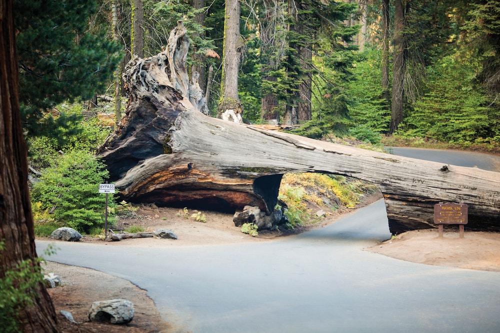 Three Rivers Vacations - Wuksachi Lodge - Property Image 2