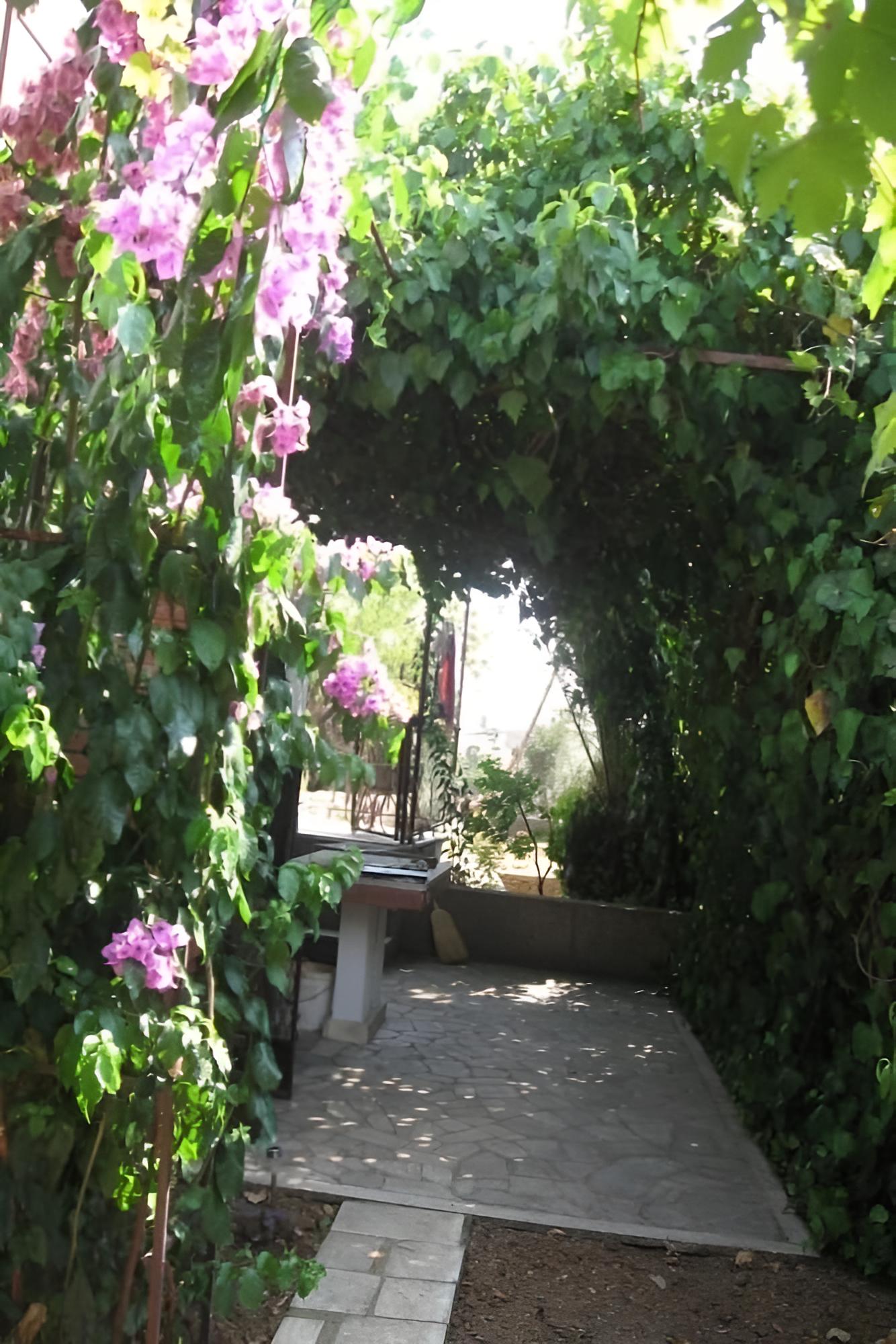 Photo 11