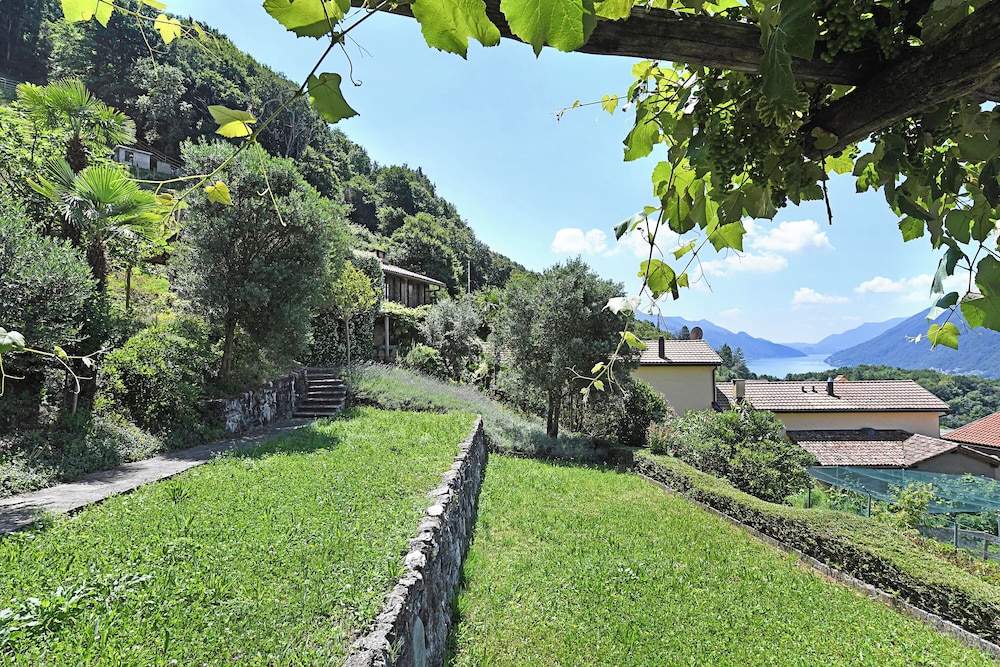 Romantic Rustico With Dependence