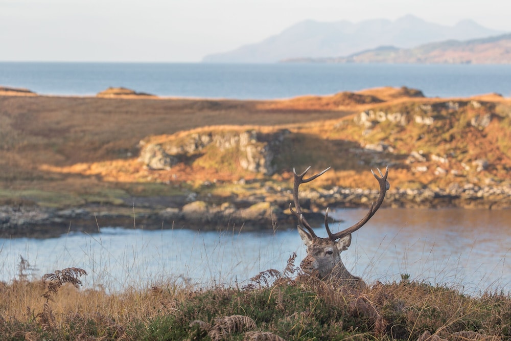 Doune Bay Lodge