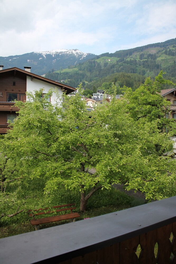 Photo 48