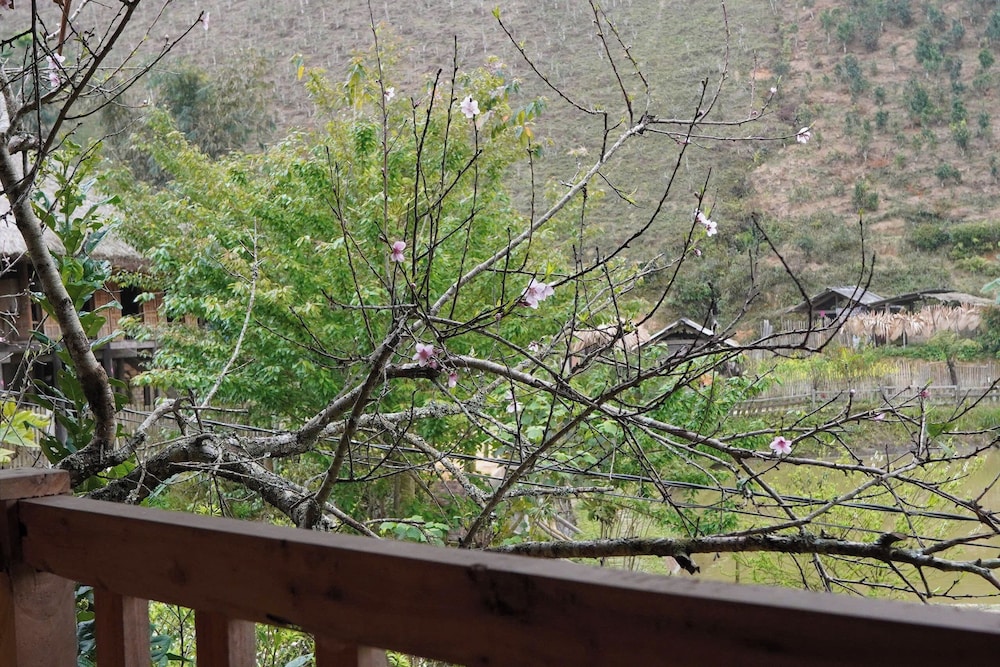 Ban Lien Homestay